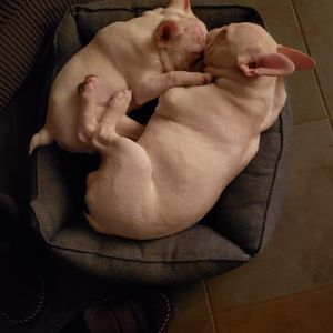 Meet your Posher, Rosemary